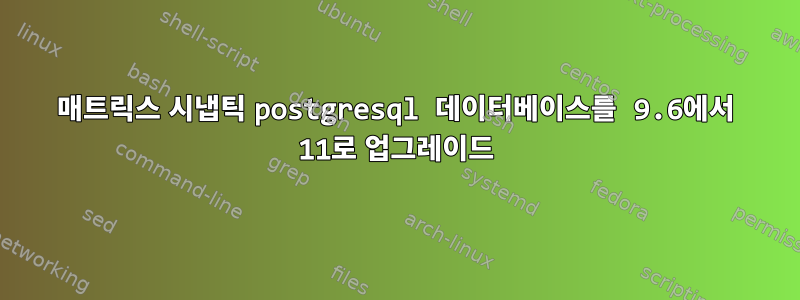 매트릭스 시냅틱 postgresql 데이터베이스를 9.6에서 11로 업그레이드