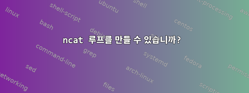 ncat 루프를 만들 수 있습니까?