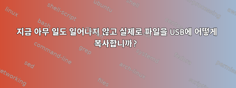 지금 아무 일도 일어나지 않고 실제로 파일을 USB에 어떻게 복사합니까?