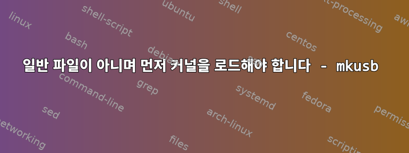 일반 파일이 아니며 먼저 커널을 로드해야 합니다 - mkusb