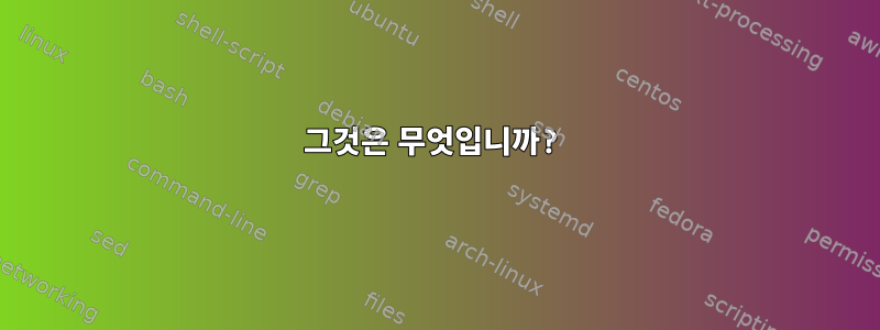 그것은 무엇입니까?