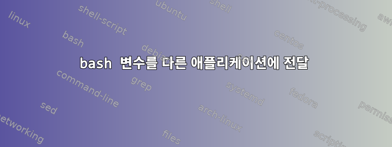 bash 변수를 다른 애플리케이션에 전달