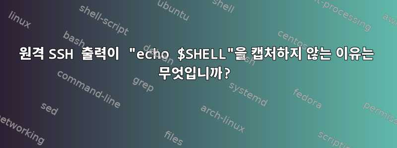 원격 SSH 출력이 "echo $SHELL"을 캡처하지 않는 이유는 무엇입니까?