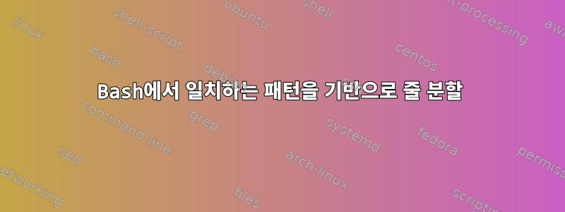 Bash에서 일치하는 패턴을 기반으로 줄 분할