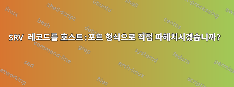 SRV 레코드를 호스트:포트 형식으로 직접 파헤치시겠습니까?