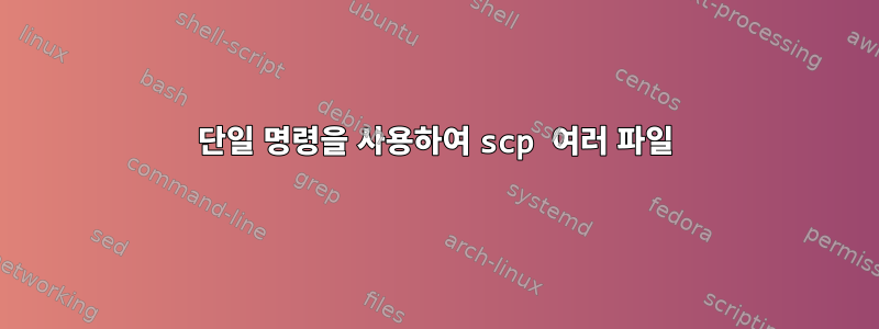 단일 명령을 사용하여 scp 여러 파일