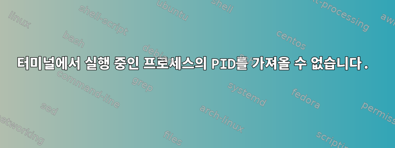 터미널에서 실행 중인 프로세스의 PID를 가져올 수 없습니다.