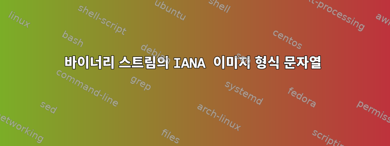 바이너리 스트림의 IANA 이미지 형식 문자열