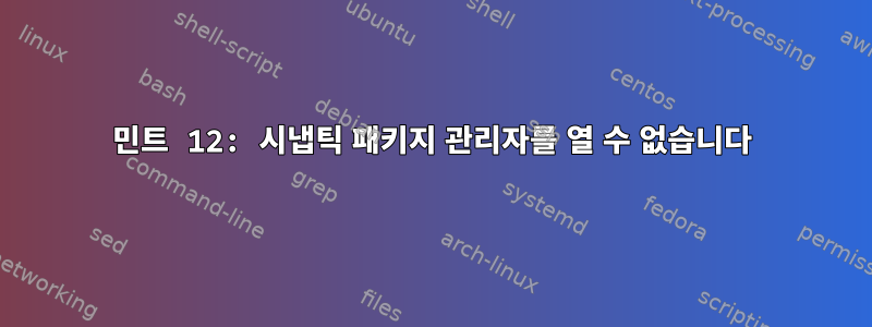 민트 12: 시냅틱 패키지 관리자를 열 수 없습니다