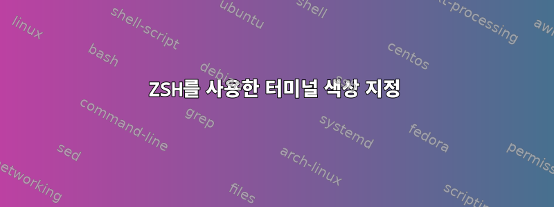 ZSH를 사용한 터미널 색상 지정