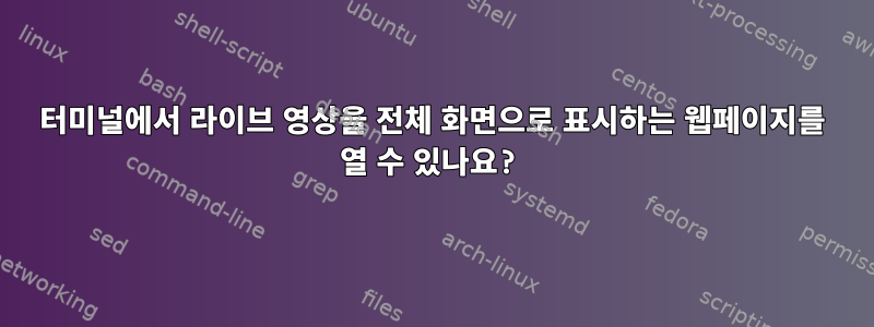 터미널에서 라이브 영상을 전체 화면으로 표시하는 웹페이지를 열 수 있나요?