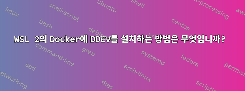 WSL 2의 Docker에 DDEV를 설치하는 방법은 무엇입니까?