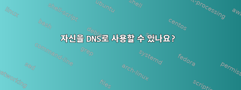 자신을 DNS로 사용할 수 있나요?