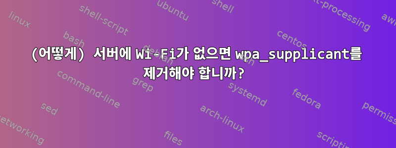 (어떻게) 서버에 Wi-Fi가 없으면 wpa_supplicant를 제거해야 합니까?