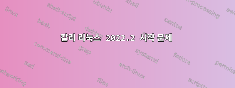 칼리 리눅스 2022.2 시작 문제