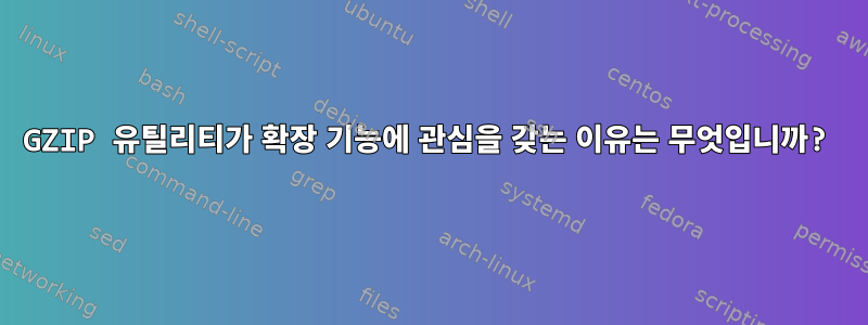 GZIP 유틸리티가 확장 기능에 관심을 갖는 이유는 무엇입니까?