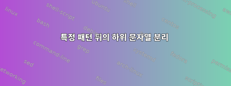 특정 패턴 뒤의 하위 문자열 분리