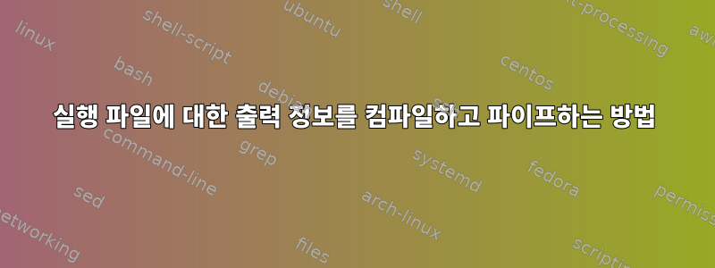 실행 파일에 대한 출력 정보를 컴파일하고 파이프하는 방법