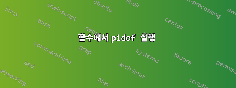 함수에서 pidof 실행