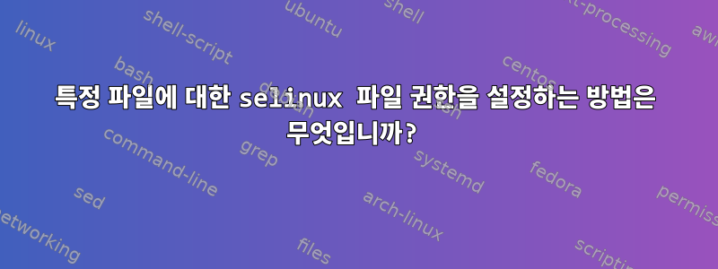 특정 파일에 대한 selinux 파일 권한을 설정하는 방법은 무엇입니까?