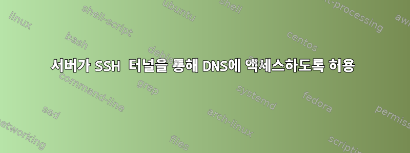 서버가 SSH 터널을 통해 DNS에 액세스하도록 허용