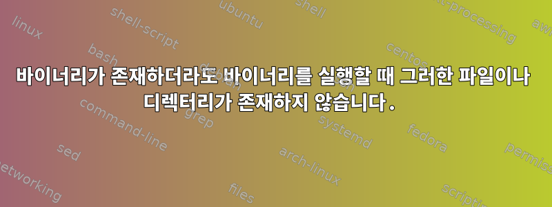 바이너리가 존재하더라도 바이너리를 실행할 때 그러한 파일이나 디렉터리가 존재하지 않습니다.