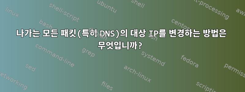 나가는 모든 패킷(특히 DNS)의 대상 IP를 변경하는 방법은 무엇입니까?