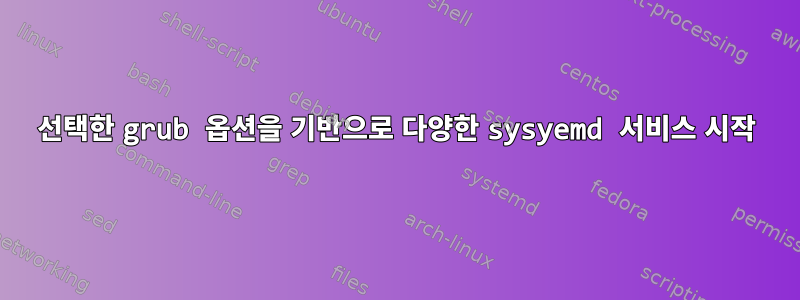 선택한 grub 옵션을 기반으로 다양한 sysyemd 서비스 시작