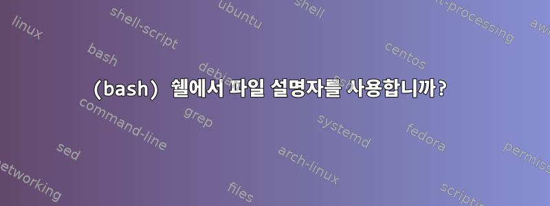 (bash) 쉘에서 파일 설명자를 사용합니까?