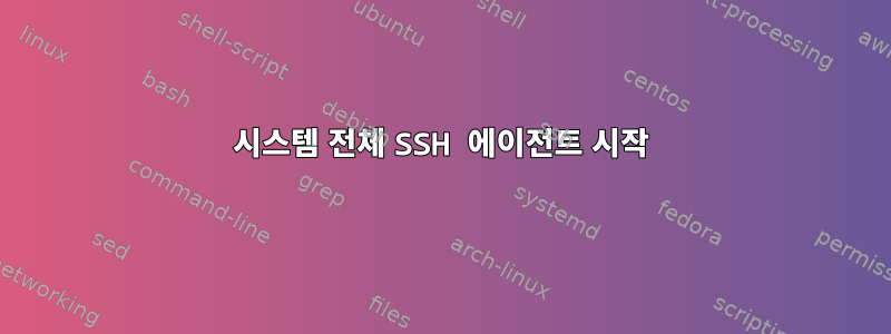 시스템 전체 SSH 에이전트 시작