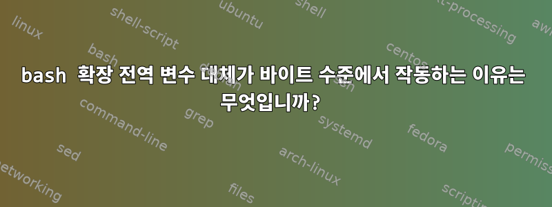 bash 확장 전역 변수 대체가 바이트 수준에서 작동하는 이유는 무엇입니까?