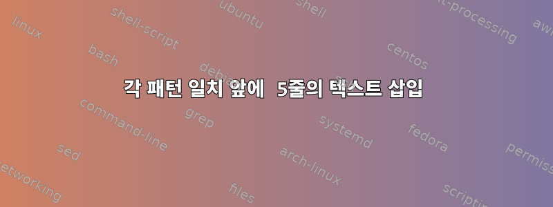 각 패턴 일치 앞에 5줄의 텍스트 삽입