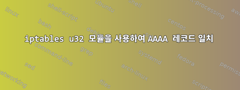 iptables u32 모듈을 사용하여 AAAA 레코드 일치