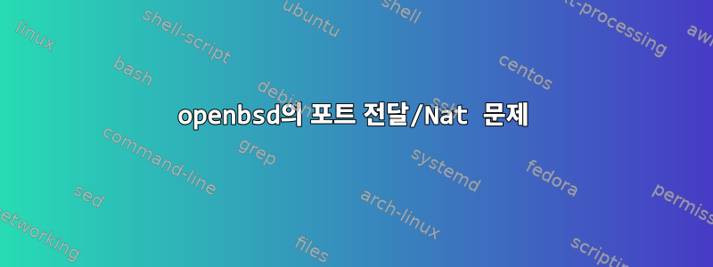 openbsd의 포트 전달/Nat 문제