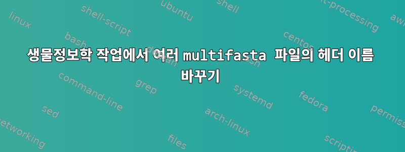 생물정보학 작업에서 여러 multifasta 파일의 헤더 이름 바꾸기