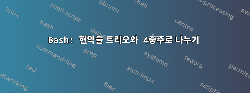 Bash: 현악을 트리오와 4중주로 나누기