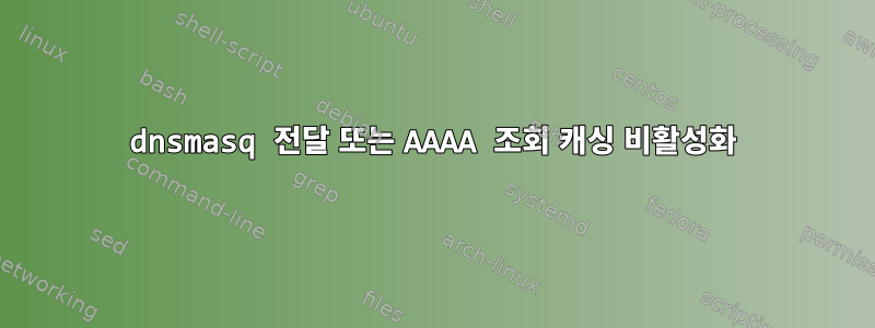 dnsmasq 전달 또는 AAAA 조회 캐싱 비활성화