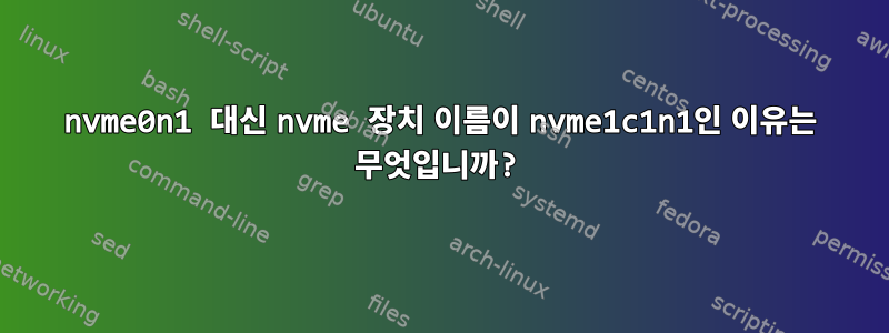 nvme0n1 대신 nvme 장치 이름이 nvme1c1n1인 이유는 무엇입니까?