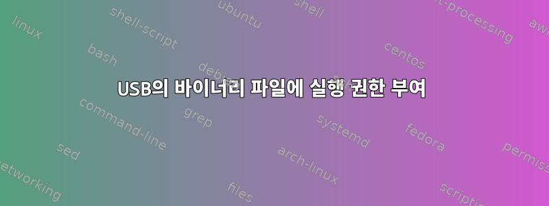 USB의 바이너리 파일에 실행 권한 부여