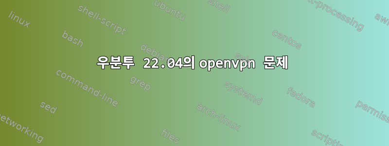 우분투 22.04의 openvpn 문제