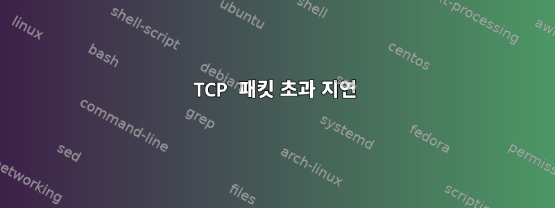 TCP 패킷 초과 지연