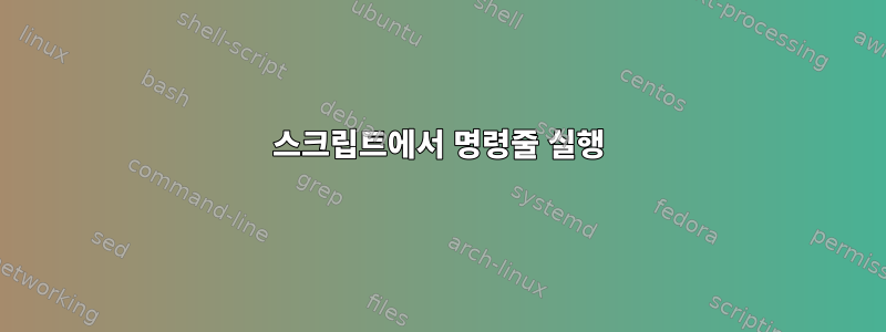 스크립트에서 명령줄 실행