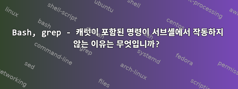 Bash, grep - 캐럿이 포함된 명령이 서브셸에서 작동하지 않는 이유는 무엇입니까?