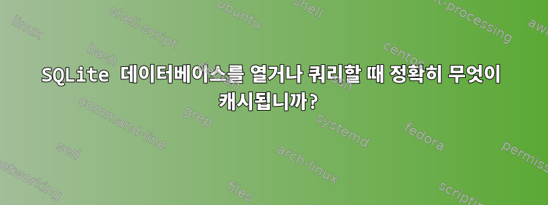 SQLite 데이터베이스를 열거나 쿼리할 때 정확히 무엇이 캐시됩니까?