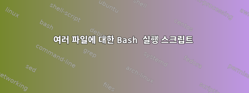 여러 파일에 대한 Bash 실행 스크립트