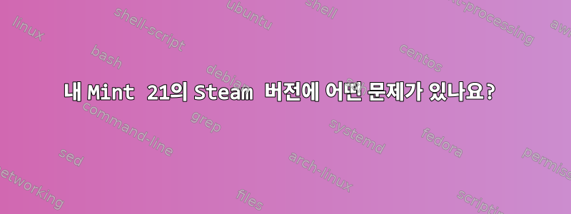 내 Mint 21의 Steam 버전에 어떤 문제가 있나요?