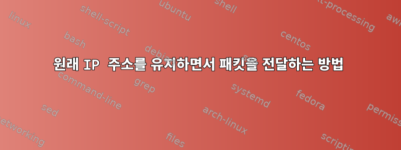 원래 IP 주소를 유지하면서 패킷을 전달하는 방법