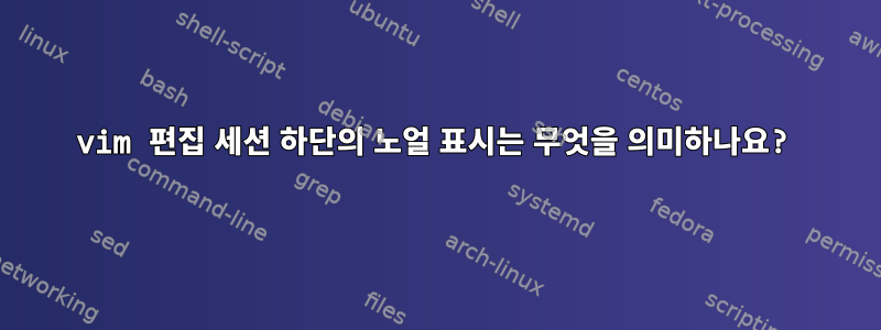 vim 편집 세션 하단의 노얼 표시는 무엇을 의미하나요?