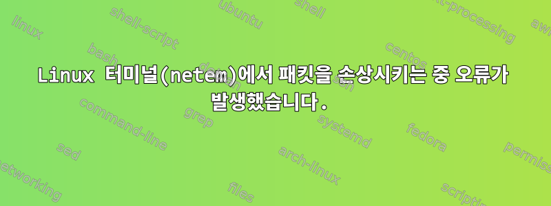 Linux 터미널(netem)에서 패킷을 손상시키는 중 오류가 발생했습니다.