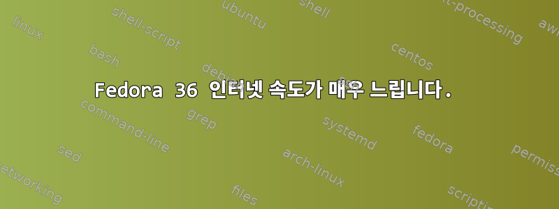 Fedora 36 인터넷 속도가 매우 느립니다.